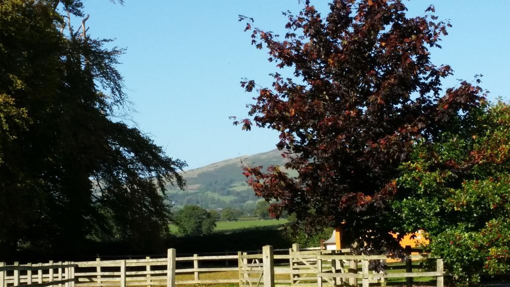 Ty Derw Country House B&B Ruthin Exterior photo