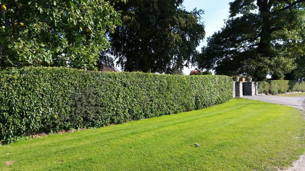Ty Derw Country House B&B Ruthin Exterior photo