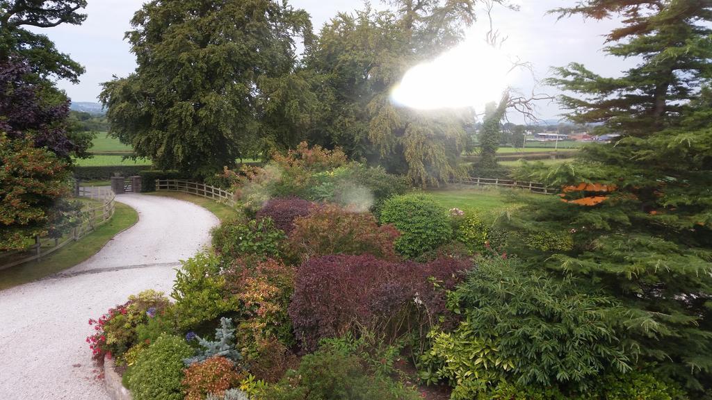Ty Derw Country House B&B Ruthin Room photo